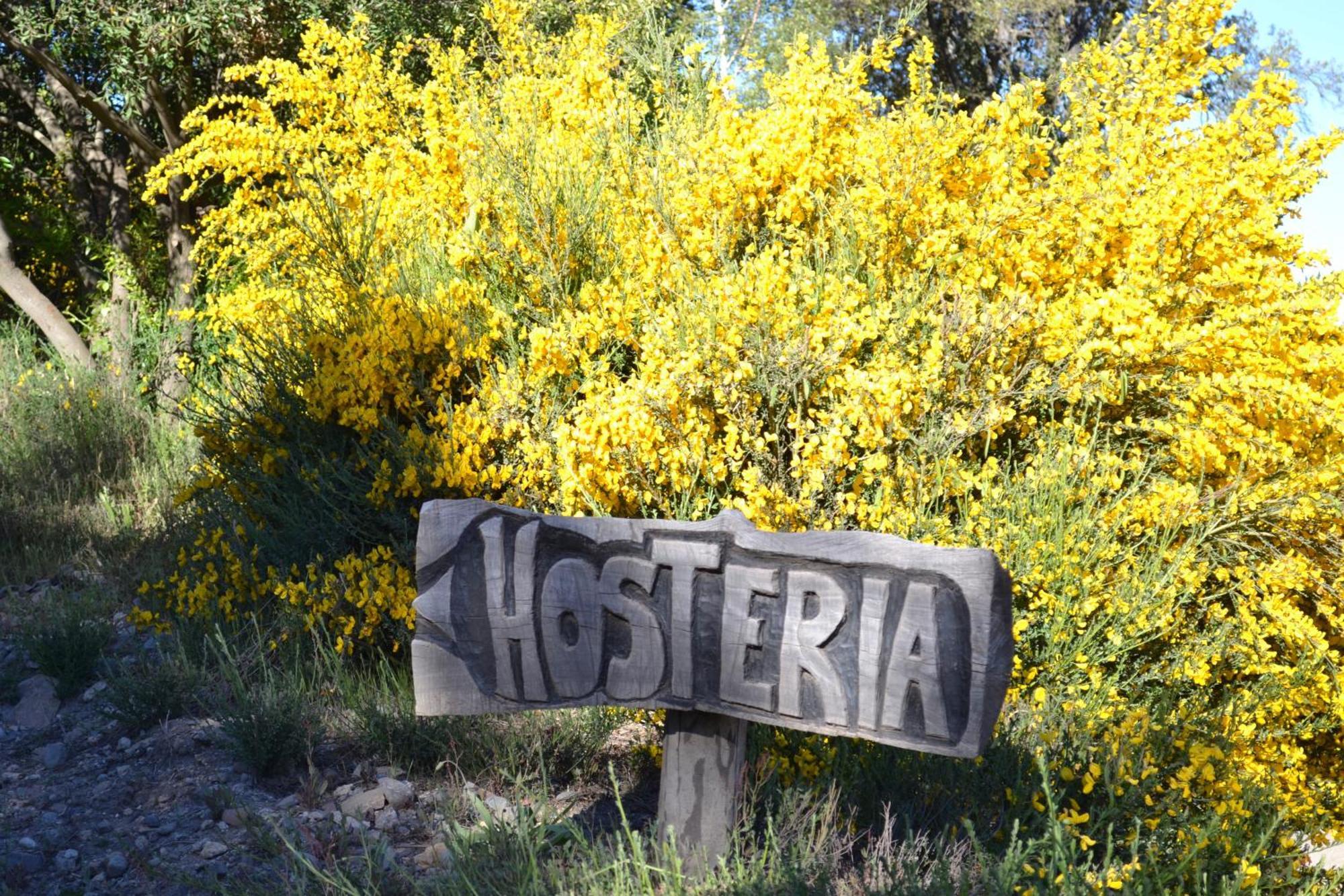 Sieteflores Hosteria De Montana San Martin de los Andes Ngoại thất bức ảnh